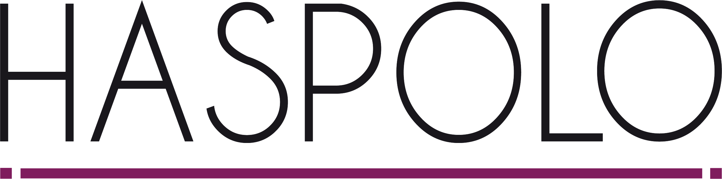 LOGO_HASPOLO