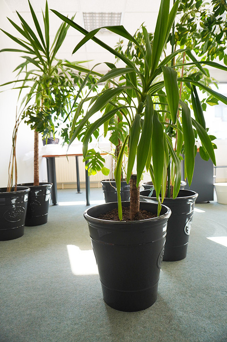 2024_Déménagement en cours (1).JPG