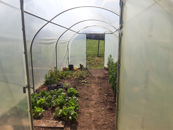 OEM Beaupreau 03.06 (8)