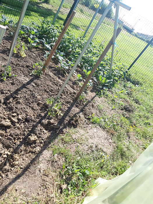 OEM Beaupreau 03.06 (9)